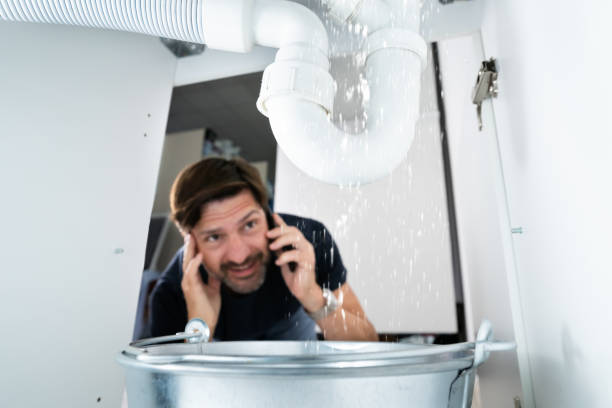 Best Faucet Repair  in Raintree Plantation, MO